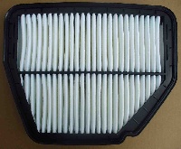 Wkład filtra powietrza ANTARA